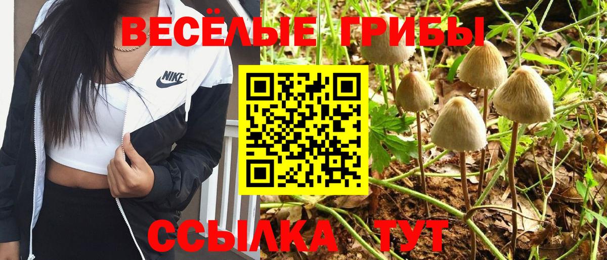 Галлюциногенные грибы Psilocybine cubensis Губкинский