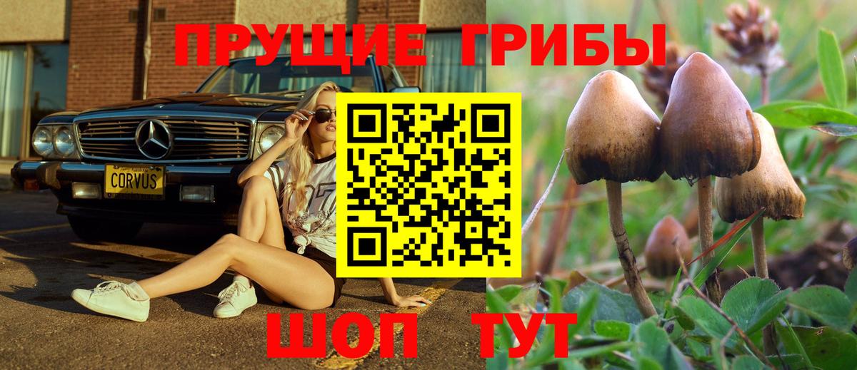 Губкинский  Галлюциногенные грибы MAGIC MUSHROOMS  Вход с VPN 